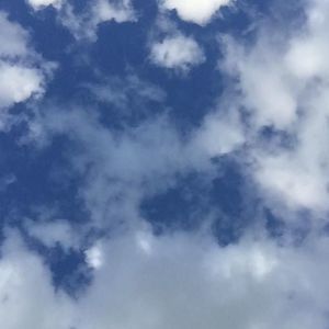 Meet your Posher, Austin